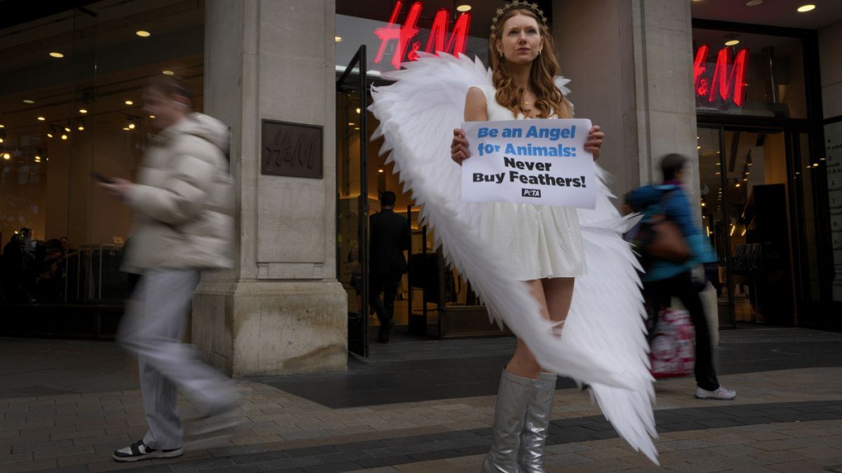 Hayvan hakları aktivistleri de, geçen yılın aralık ayında İsveçli firmayı protesto etmişti.