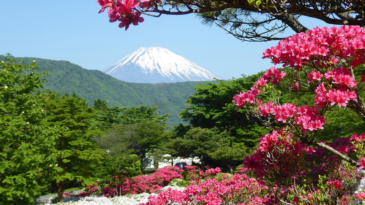 Начиная с этого лета, посетителям горы Фудзи придется платить за поход по одному из маршрутов, ведущих на культовую гору. 