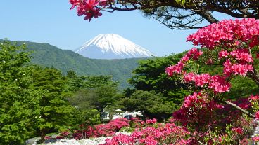 Από αυτό το καλοκαίρι, οι επισκέπτες του Όρους Φούτζι θα πρέπει να πληρώνουν για να περπατήσουν μια από τις διαδρομές στο εμβληματικό βουνό. 