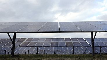 Solar panels are seen at the DTE O'Shea Solar Park work in Detroit. 2022.