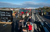 French farmers block the Hubert Touya viaduct on a highway Tuesday, Jan. 23, 2024 in Bayonne, southwestern France.