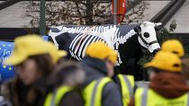 Фермеры стоят перед пластиковой коровой с нарисованным на ней скелетом во время акции протеста у здания Европейского парламента в Брюсселе, 24 января.