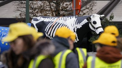 Farmers stand in front of a plastic cow with a skeleton painted on it during a protest outside the European Parliament in Brussels, Jan. 24.