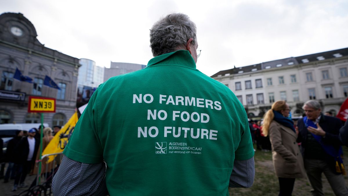 Fransız ve Belçikalı çiftçilerin Brüksel'deki Avrupa Parlamentosu önünde düzenlediği gösteri sırasında bir çiftçi mesaj içeren bir tişört giydi, 24 Ocak 2024