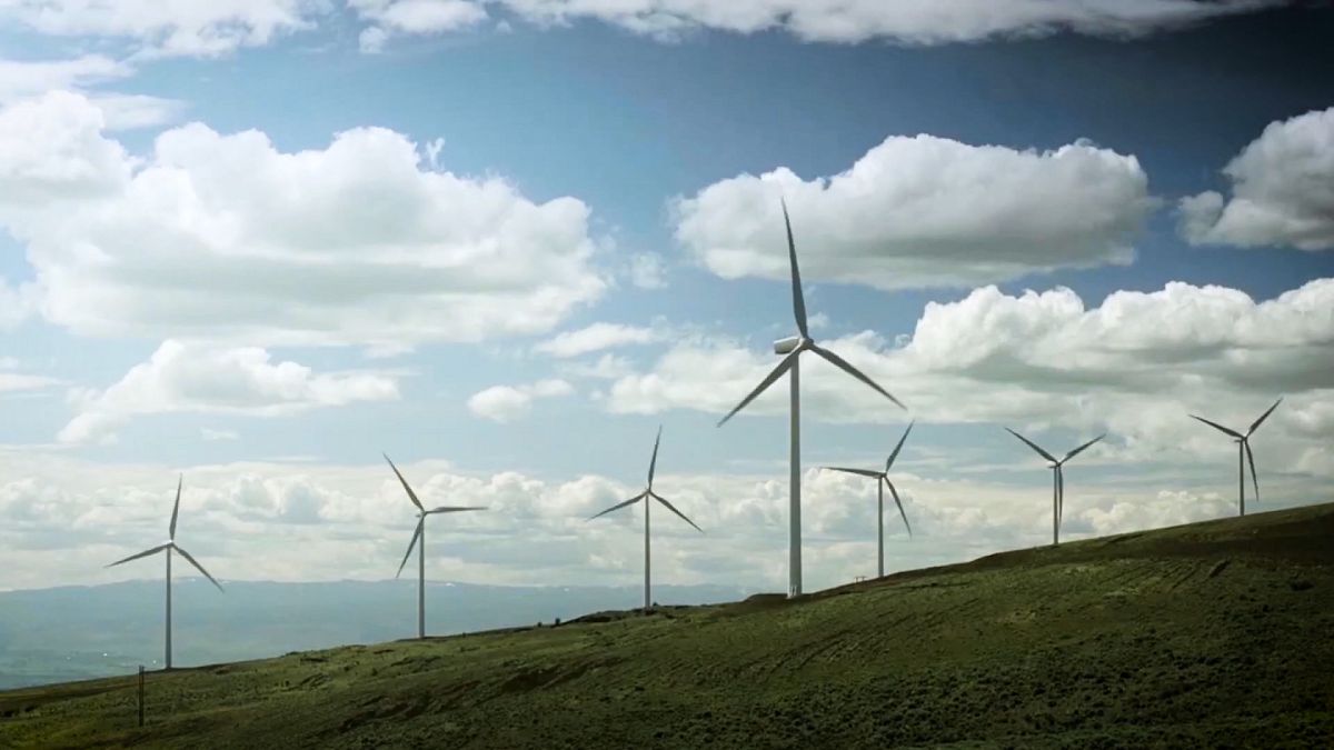Попутный ветер даст энергию: в ЕС ускорят строительство ветряных парков