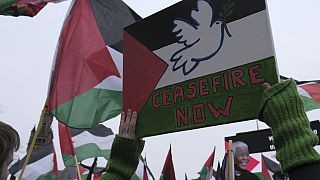 Gaza : la CIJ doit se prononcer sur l'arrêt de l'offensive israélienne