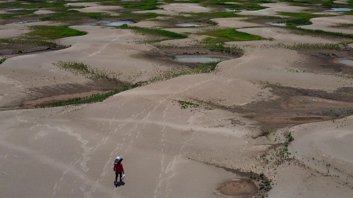 Un habitant d'une communauté riveraine transporte de la nourriture et de l'eau distribuées en raison de la sécheresse actuelle à Careiro da Varzea, dans l'État d'Amazonas, au Brésil, le 24 octobre 2023.