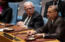 حسین امیرعبداللهیان در نشست شورای امنیت سازمان ملل متحد