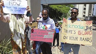 Kenya: pro-Palestine protesters targeted by police