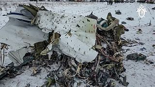 Un'immagine diffusa dal Comitato investigativo russo mostra i rottami dell'aereo precipitato
