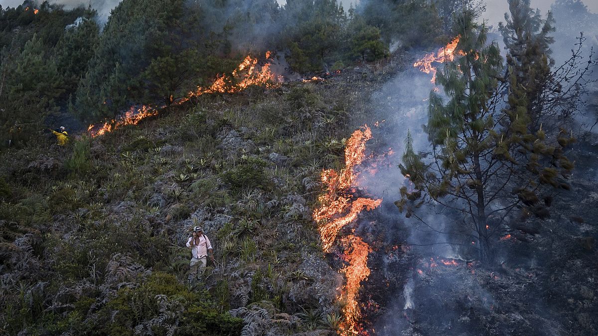 اشتعال حرائق الغابات في كولومبيا