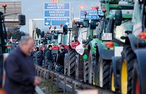 Face a protestos crescentes, a Comissão Europeia abriu um diálogo estratégico com agricultores