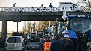 Protesta de agricultores franceses este viernes en Francia en una carretera cerca de Ableiges, al norte de París