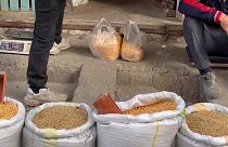 فروش غذای دام به عنوان آرد در نوار غزه 