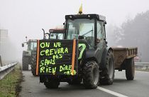 مزارعون فرنسيون يغلقون طريقا سريعا بجراراتهم بالقرب من باريس