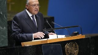 Egypt criticizes western countries' decision to cut funding to UN agency in Gaza