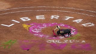Stierkämpfe in Mexiko-Stadt sind wieder erlaubt