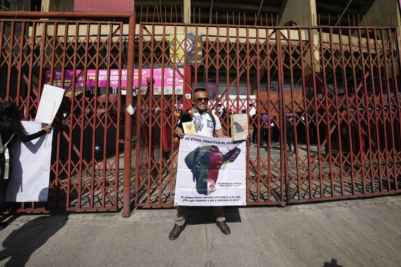 Ein Tierschutzaktivist protestiert in Mexiko-Stadt gegen die Stierkämpfe
