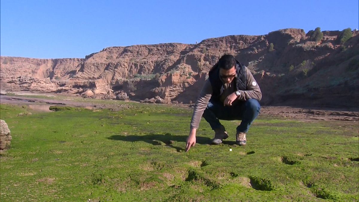 Anas Sedrati beobachtet Fußabdrücke an einer archäologischen Stätte in Larache
