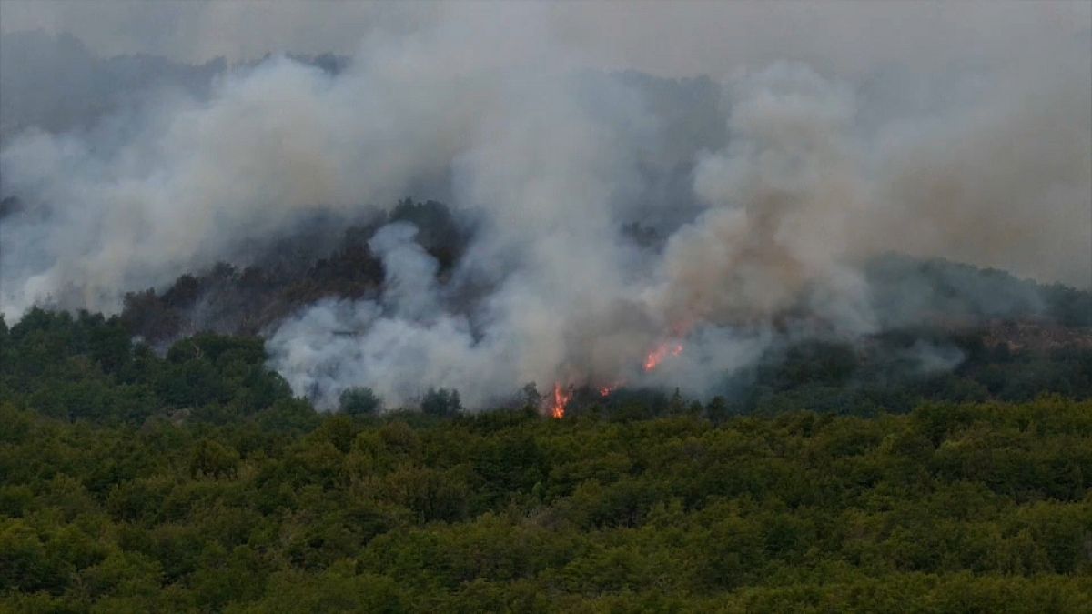 Das Feuer frisst sich immer weiter durch den Nationalpark Los Alerces in Argentinien.