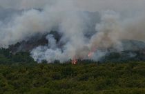حريق في حديقة لوس أليرسيس الوطنية في باتاغونيا بالأرجنتين.