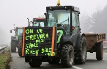 Un tracteur portant une affiche "On ne crèvera pas sans rien dire" est garé sur une autoroute, près d'Agen, dans le sud-ouest de la France.