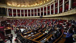 Membri del Parlamento francese partecipano all'Assemblea Nazionale 