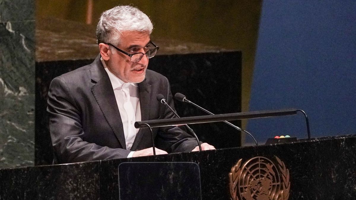 امیر سعید ایروانی، نماینده ایران در سازمان ملل