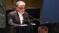 امیر سعید ایروانی، نماینده ایران در سازمان ملل