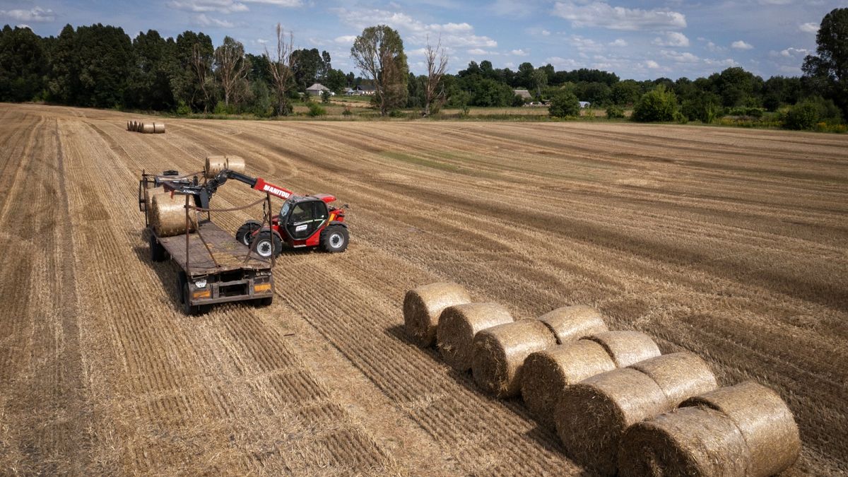 Die Europäische Union hob im Juni 2022 alle Zölle und Kontingente für ukrainisches Getreide auf, um dem Land zu helfen, seine angeschlagene Wirtschaft zu stützen.