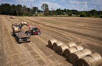Европейский союз отменил все тарифы и квоты на украинское зерно в июне 2022 года, чтобы помочь стране поддержать свою разрушенную экономику.