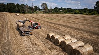 La Unión Europea levantó todos los aranceles y cuotas sobre el grano ucraniano en junio de 2022 para ayudar al país a sostener su maltrecha economía.