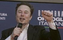 Tesla CEO Elon Musk waves as he arrives at the annual political festival Atreju, organized by the Giorgia Meloni's Brothers of Italy political party, in Rome.
