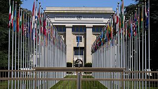 BM Cenevre ofisi