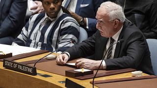 Algeria urges UN Security Council to demand Gaza ceasefire as it convenes over ICJ ruling