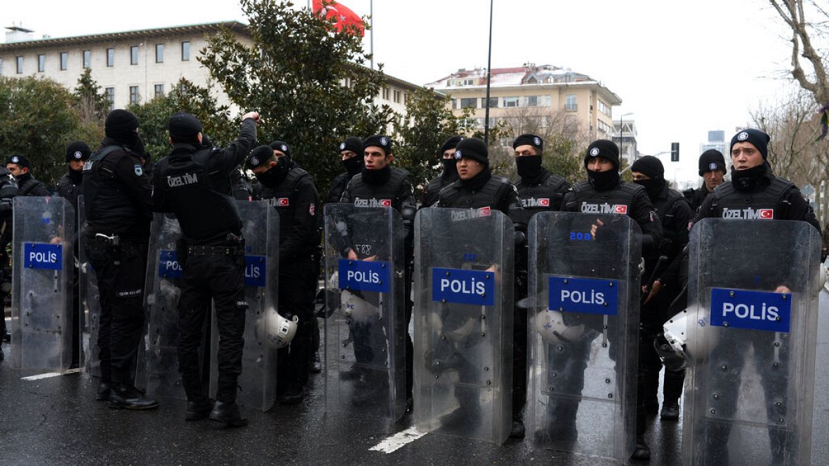 Türk polisi (arşiv)