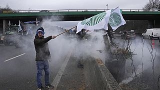 Un agricultor ondea banderas sindicales en una carretera bloqueada el jueves 1 de febrero de 2024 en Argenteuil, al norte de París.
