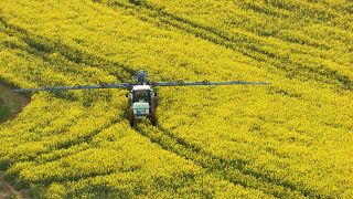 Uso de pesticidas na agricultura