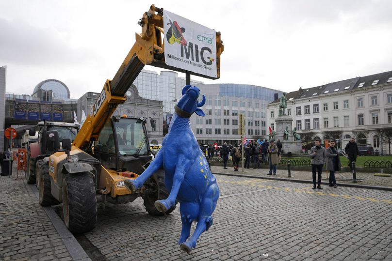 A plastic cow painted with the colors of the EU flag is held up by a strap from a tractor during a demonstration of farmers outside the European Parliament, January 2024