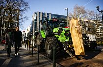 Manifestación de los agricultores en Bruselas.