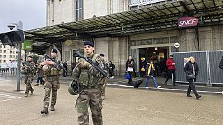 Stabbing attack at parisian train station raises security concerns ahead of Olympic Games