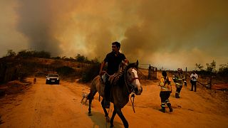 Κάτοικος διαφεύγει από δασική πυρκαγιά στη Vina del Mar της Χιλής, Σάββατο 3 Φεβρουαρίου 2024