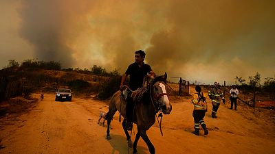 Un residente fugge da un incendio boschivo in corso a Vina del Mar, in Cile, sabato 3 febbraio 2024.