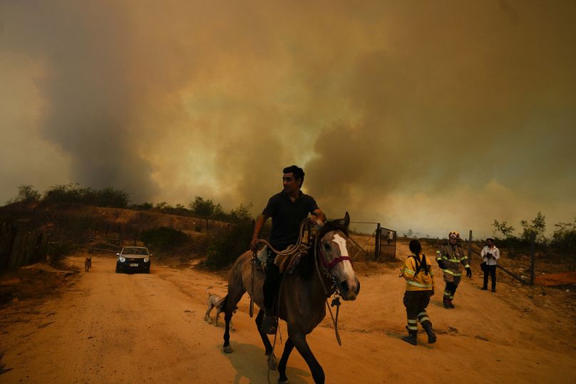 Das Feuer begann zunächst in Waldgebieten, bevor es sich auf den Stadtrand von Viña del Mar ausbreitete.