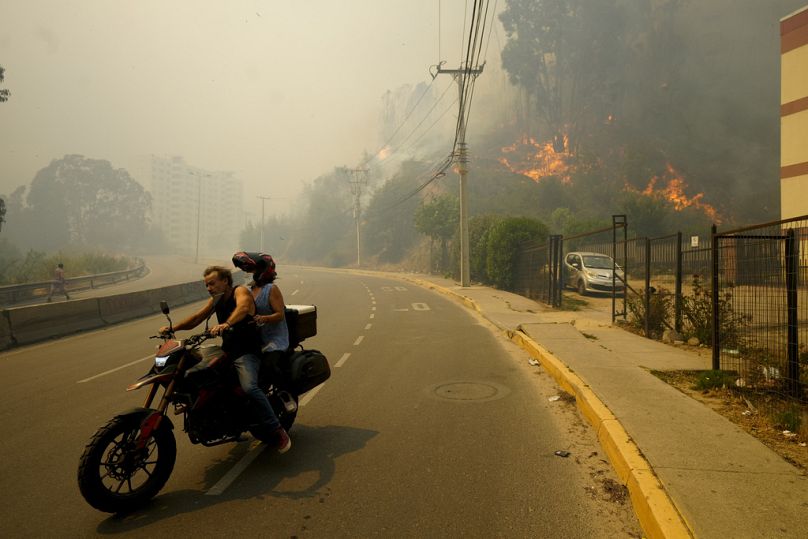 Şili'de vatandaşlar, orman yangınlarının kısa sürede mahallelere ulaşması nedeniyle evlerinden kaçmaya çalışıyor