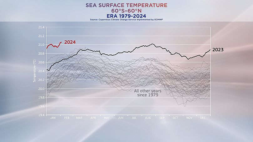 Sea surface temperatures are already hitting all-time highs. Data from Copernicus Climate Change Service.