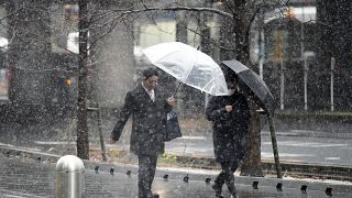 Varios ciudadanos japoneses caminan por una calle de Tokio cubierta por un manto de nieve, el lunes 5 de febrero 2024. 