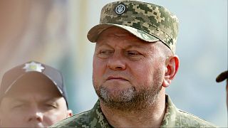 القائد العام للقوات المسلحة الأوكرانية فاليري زالوزني