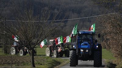 Agricoltori sui loro trattori si uniscono alla protesta vicino allo svincolo autostradale di Orte (3 febbraio 2024)