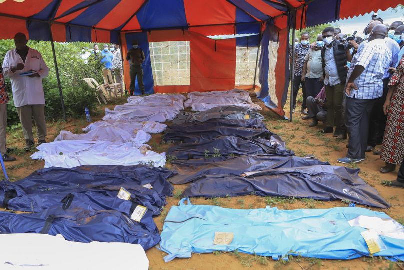 Kenya'da açlıktan ölen ve ormana gömülen bir Hristiyan tarikat üyelerinin cesetleri aranmaya devam ediyor